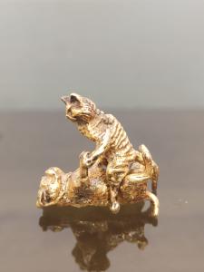 Foto 7