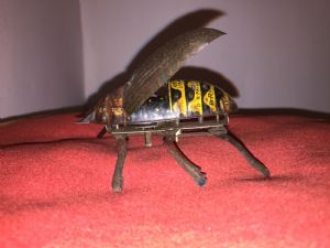 Foto 5