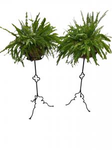 Pair of Antique Stands with copper planter