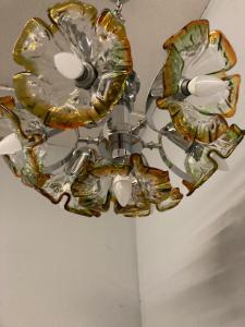 Foto 7