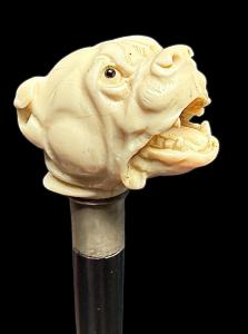 Bastone con pomolo in avorio raffigurante cane molosso.