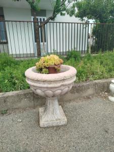 Pink marble vase