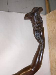 Foto 7