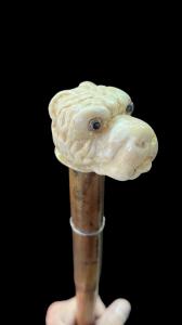 Stock mit Elfenbein-Knauf in Hundeform.
