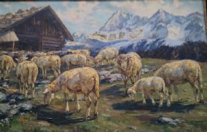 Flock of sheep grazing