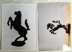 Foto 7