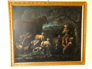 Foto 10