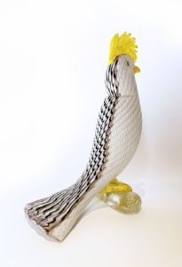 Foto 7