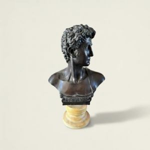 
Busto in Bronzo 'Davide' con Base in Marmo, su colonna in marmo verde, XIX Secolo 