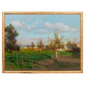 Countryside landscape - O/6456