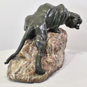 Foto 6