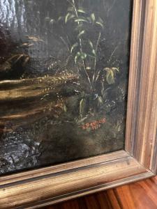 Foto 7