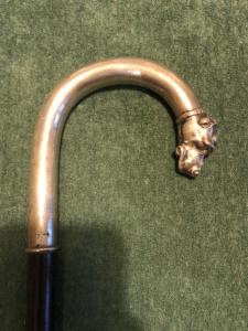 Bastone con impugnatura in argento con testa di cane.