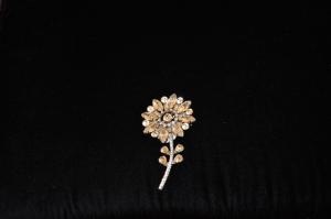 Broche americano