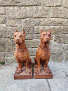 Bellissima coppia di Cani in terracotta - H 70 cm