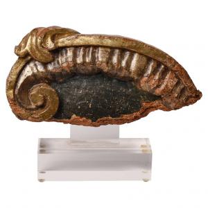 Antico fregio in legno dorato su plexi - O/1875 -