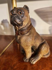 Austrian pug in terracotta, 19th century