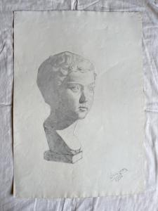 Desenho a carvão sobre papel representando um busto de mármore de um menino. Assinatura: Federico Pietra 1914. Bolonha.