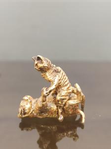 Foto 10