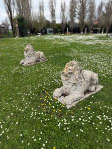 Pair of marble lions 125 × 50 × 90 H