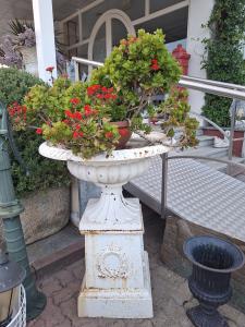 Vaso in ghisa con piedistallo stile Liberty
