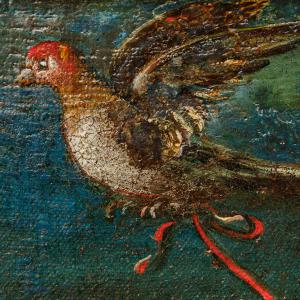 XVII secolo, Bambina che gioca con uccellino - Foto 10