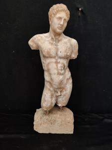Torso Maschile con basamento in polvere di Marmo - H 61 cm