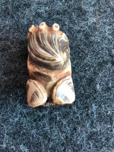 Netsuke aus Knochen, der Muscheln und Meeresweichtiere darstellt. Japan.