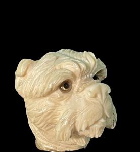 Stock mit Elfenbeingriff in Form eines Hundekopfes.