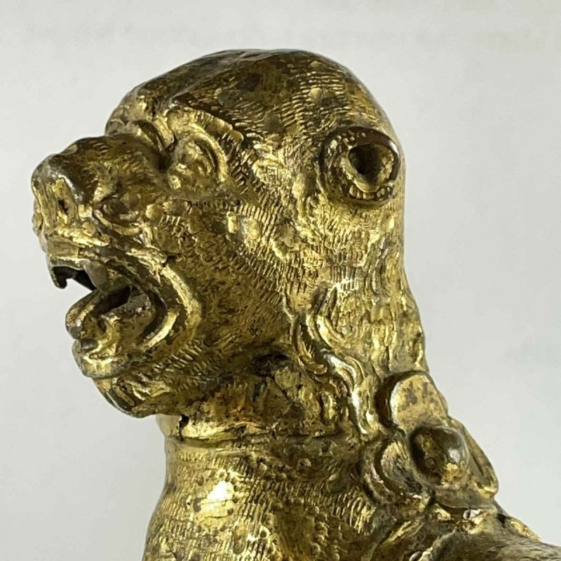 Coppia di Leoni Stilofori in Bronzo Dorato, Norimberga, 1500 - Foto 6