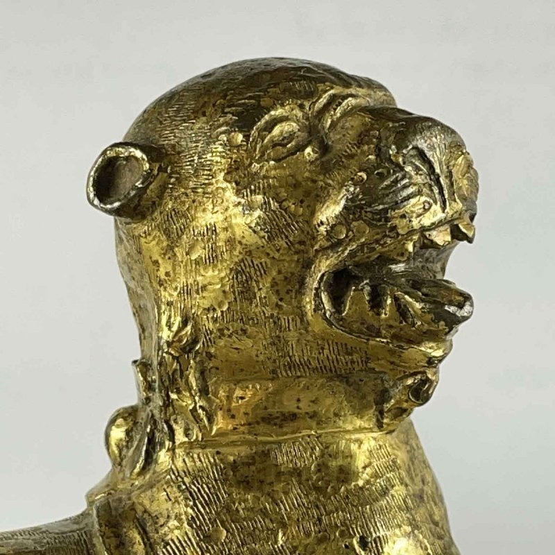 Coppia di Leoni Stilofori in Bronzo Dorato, Norimberga, 1500 - Foto 9