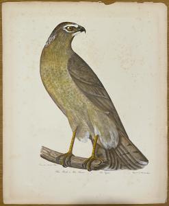 ????? ?? ????? ?????? ? ???????????? ?????? ????. ????????? ???????. ??????????? 1871. Porter & Coates.