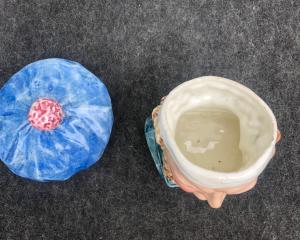 Foto 5