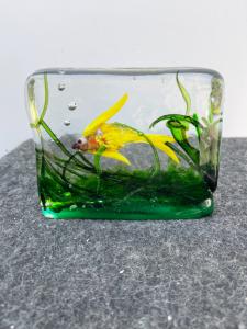 Acquario in vetro sommerso.Alfredo Barbini,Murano.