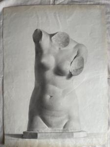 Desenho a lápis sobre papel representando um torso de estátua.