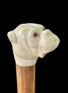 Stock mit Elfenbein-Knauf, der einen Molosser-Hundekopf darstellt.