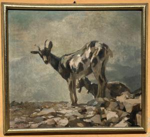 Ziegen auf Felsen