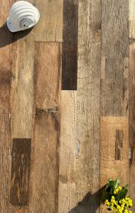 Quercia antica originale