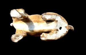 Polychrome porcelain pug dog figure. Dresden. - Foto 7
