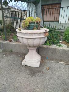 Vaso in marmo rosa