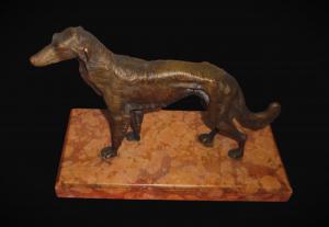 Greyhound