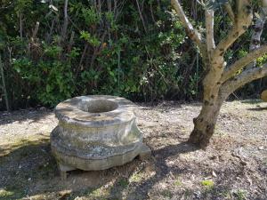 Brunnen aus Kalkstein Ludwig XIV.