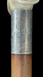 Foto 7