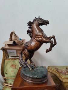 Magnifico cavallo rampante in bronzo - H 68 cm
