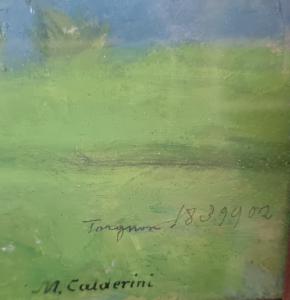Marco Calderini (Turin, July 22, 1850 – February 26, 1941 - Foto 5
