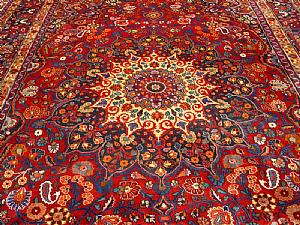 Foto 6