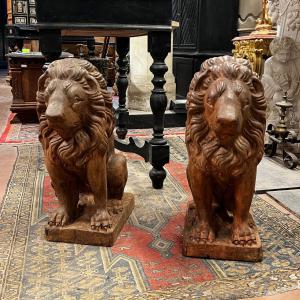 DARS719 - Coppia di leoni in terracotta, epoca '800, misure cm L 26 x H 67 x P 36