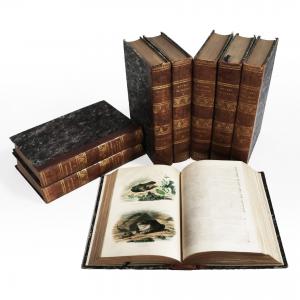 Buffon. Œuvres complètes.. und die Klassifizierung von Cuvier. Naturgeschichte von Lacepède. Paris, Furne. 1839-1841