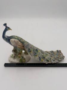 Foto 10