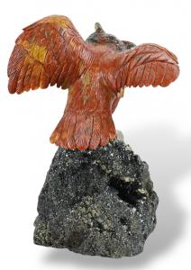 Foto 8